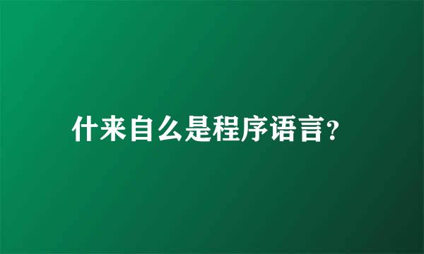 什来自么是程序语言？