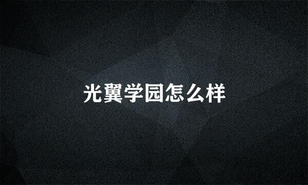 光翼学园怎么样