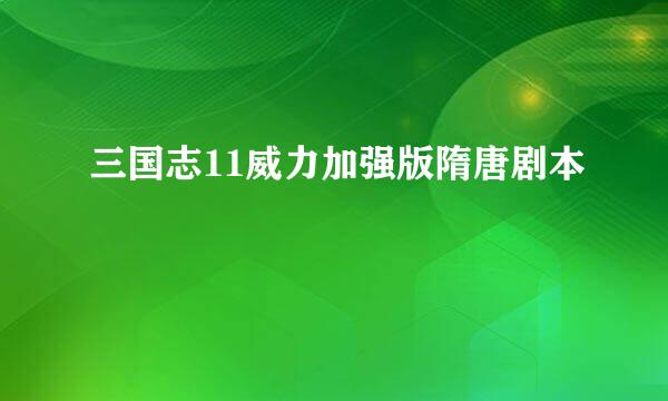 三国志11威力加强版隋唐剧本