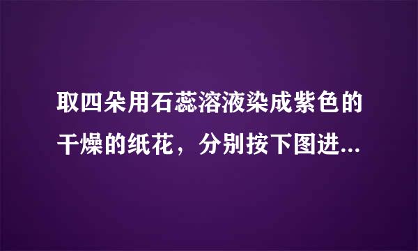 取四朵用石蕊溶液染成紫色的干燥的纸花，分别按下图进行实请犯帝财期验．请根据图示进行思考并完成下表实验现象和来自结