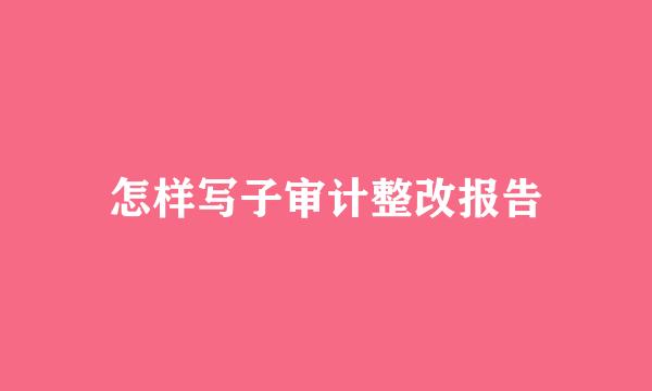 怎样写子审计整改报告