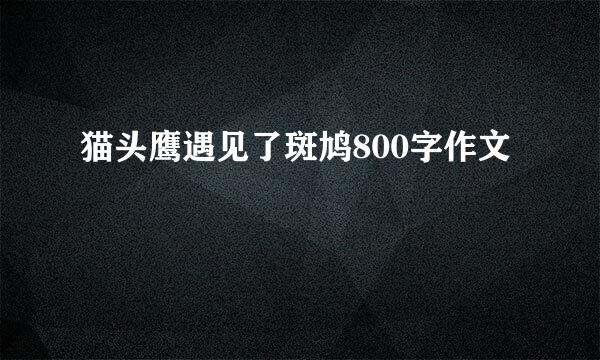 猫头鹰遇见了斑鸠800字作文