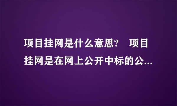 项目挂网是什么意思? 项目挂网是在网上公开中标的公司吗?还是意思是挂在网上告诉人家公开招标?