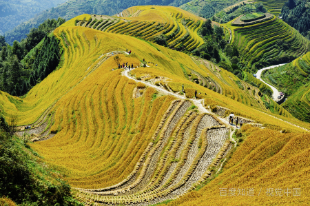 云南玉溪旅游景点有哪些