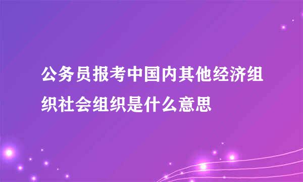 公务员报考中国内其他经济组织社会组织是什么意思