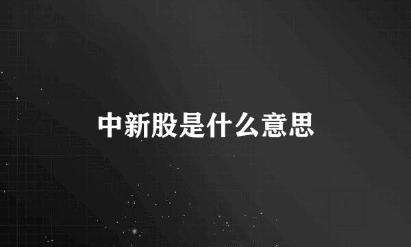 中新股是什么意思