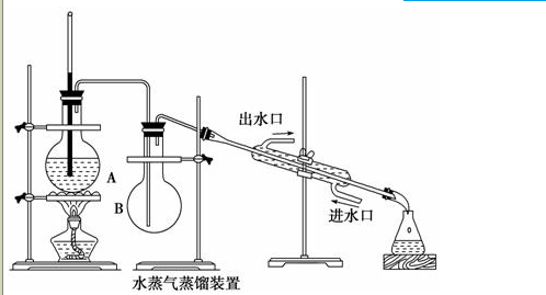 如何从薄荷叶里提取薄荷油?