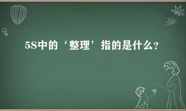 5S中的‘整理’指的是什么？