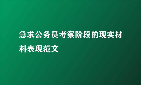 急求公务员考察阶段的现实材料表现范文