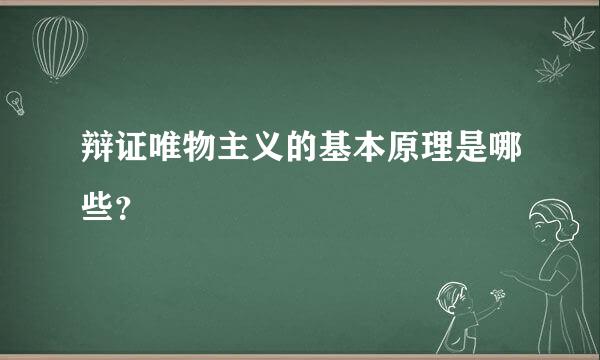 辩证唯物主义的基本原理是哪些？