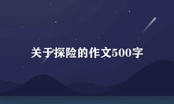 关于探险的作文500字