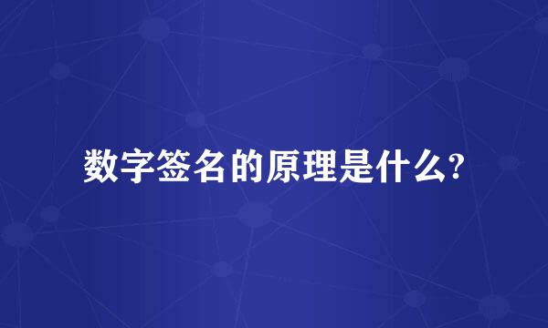 数字签名的原理是什么?