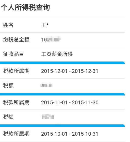 北京个人所得税查询
