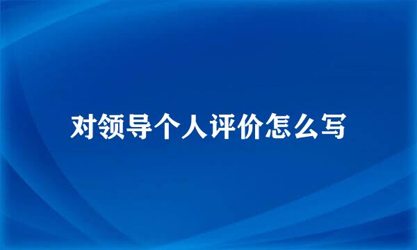 对领导个人评价怎么写