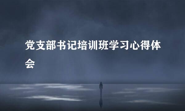 党支部书记培训班学习心得体会