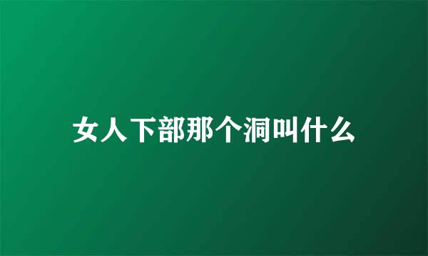 女人下部那个洞叫什么