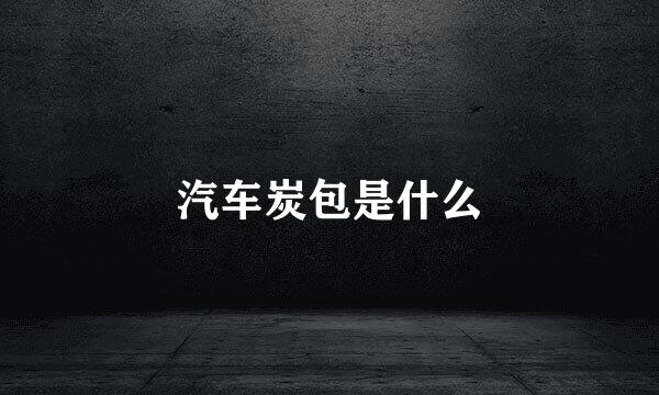 汽车炭包是什么