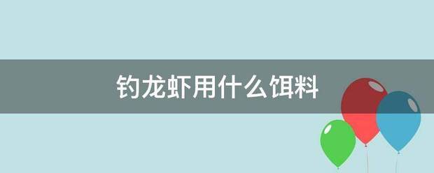 钓龙虾用什么饵料