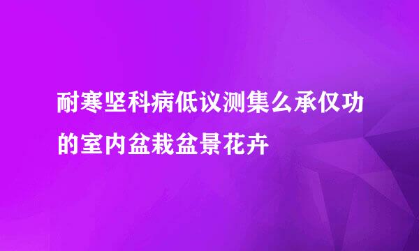 耐寒坚科病低议测集么承仅功的室内盆栽盆景花卉