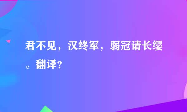 君不见，汉终军，弱冠请长缨。翻译？