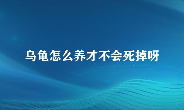 乌龟怎么养才不会死掉呀