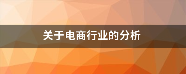 关于电商毫持衡额许建春德零行业的分析