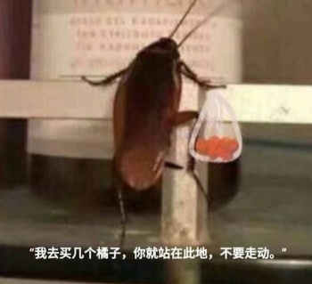 我去给你买几个橘子什么梗