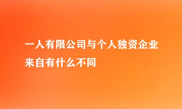 一人有限公司与个人独资企业来自有什么不同