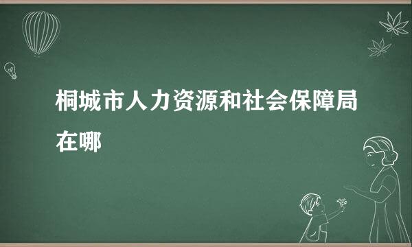 桐城市人力资源和社会保障局在哪