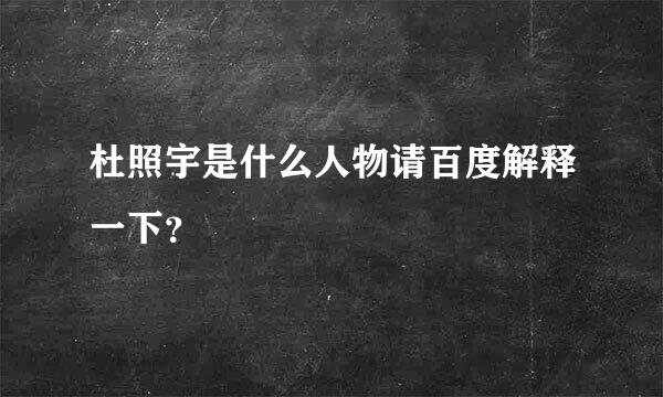 杜照宇是什么人物请百度解释一下？