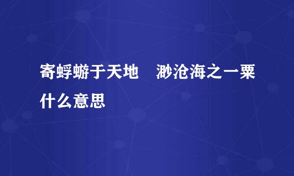 寄蜉蝣于天地 渺沧海之一粟什么意思