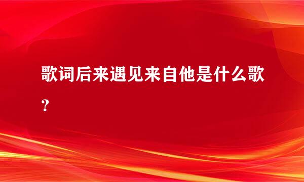 歌词后来遇见来自他是什么歌？