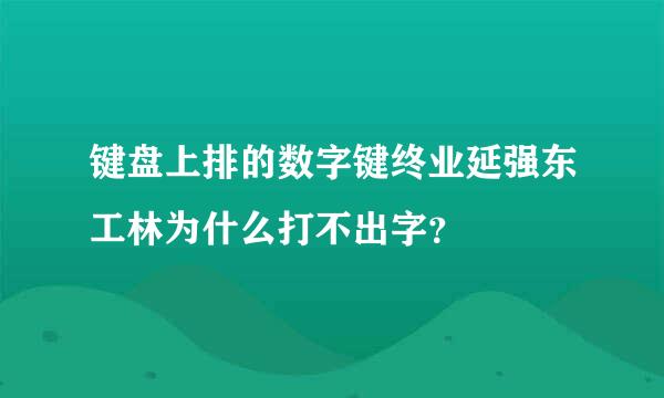 键盘上排的数字键终业延强东工林为什么打不出字？