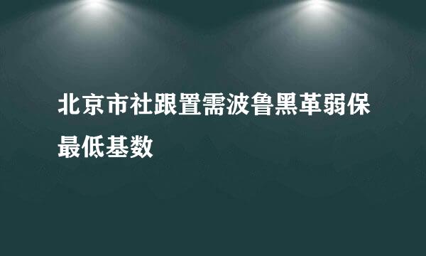 北京市社跟置需波鲁黑革弱保最低基数