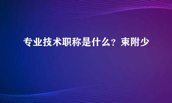 专业技术职称是什么？束附少