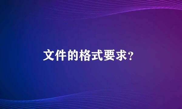 文件的格式要求？