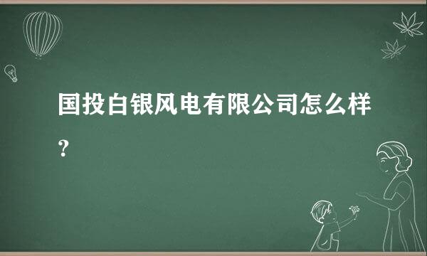 国投白银风电有限公司怎么样？