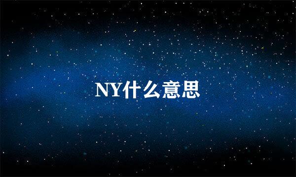 NY什么意思