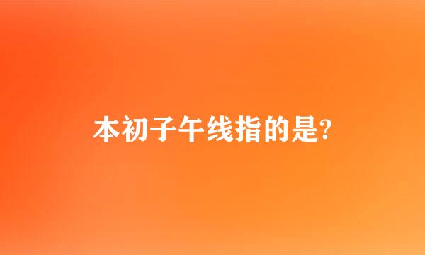 本初子午线指的是?