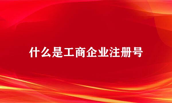 什么是工商企业注册号