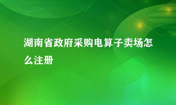 湖南省政府采购电算子卖场怎么注册