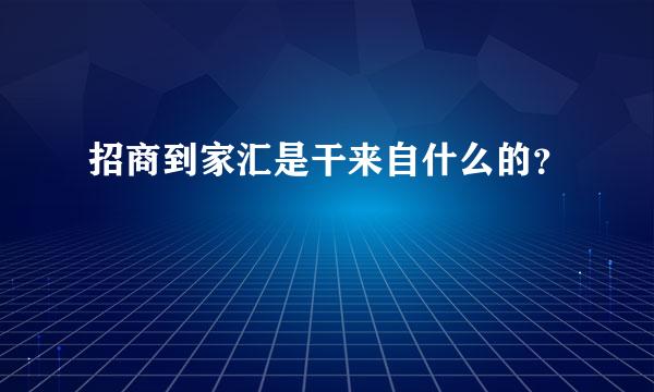 招商到家汇是干来自什么的？