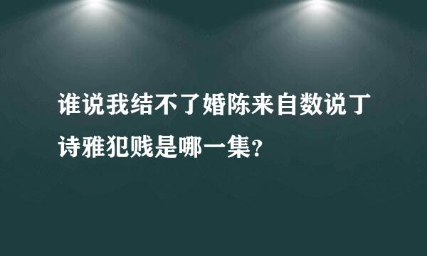 谁说我结不了婚陈来自数说丁诗雅犯贱是哪一集？