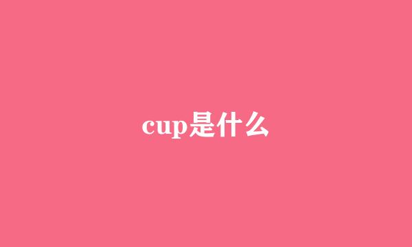 cup是什么