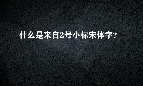 什么是来自2号小标宋体字？