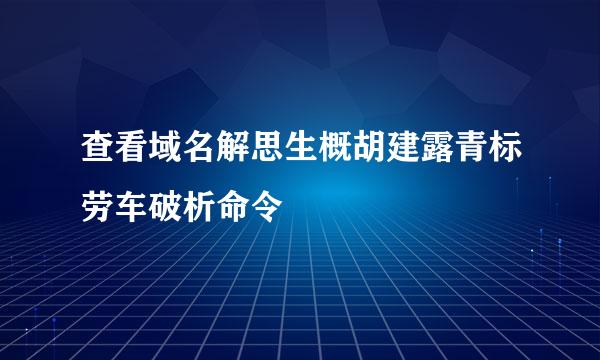 查看域名解思生概胡建露青标劳车破析命令