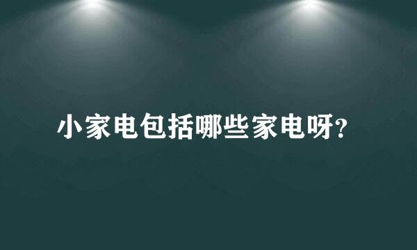 小家电包括哪些家电呀？