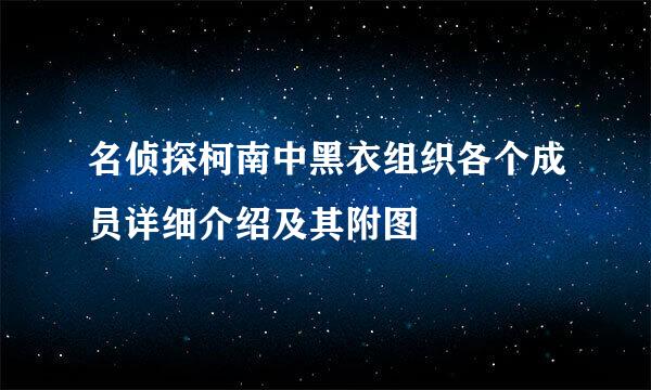 名侦探柯南中黑衣组织各个成员详细介绍及其附图