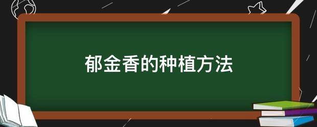 郁金香的种植方法