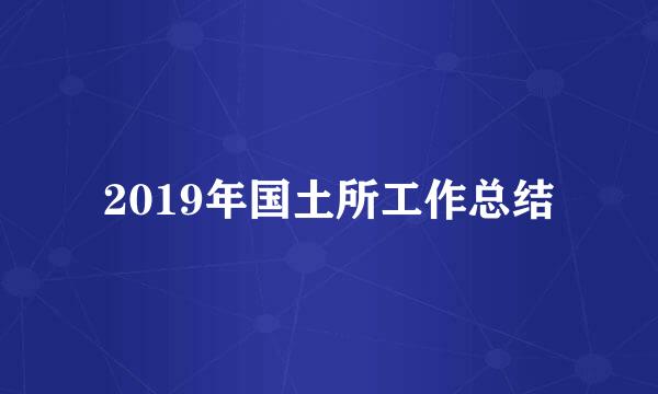 2019年国土所工作总结